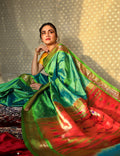 Vanmegha Paithani