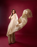 Pure Liquid Organza with Delicate Gold Work - Champagne Gold