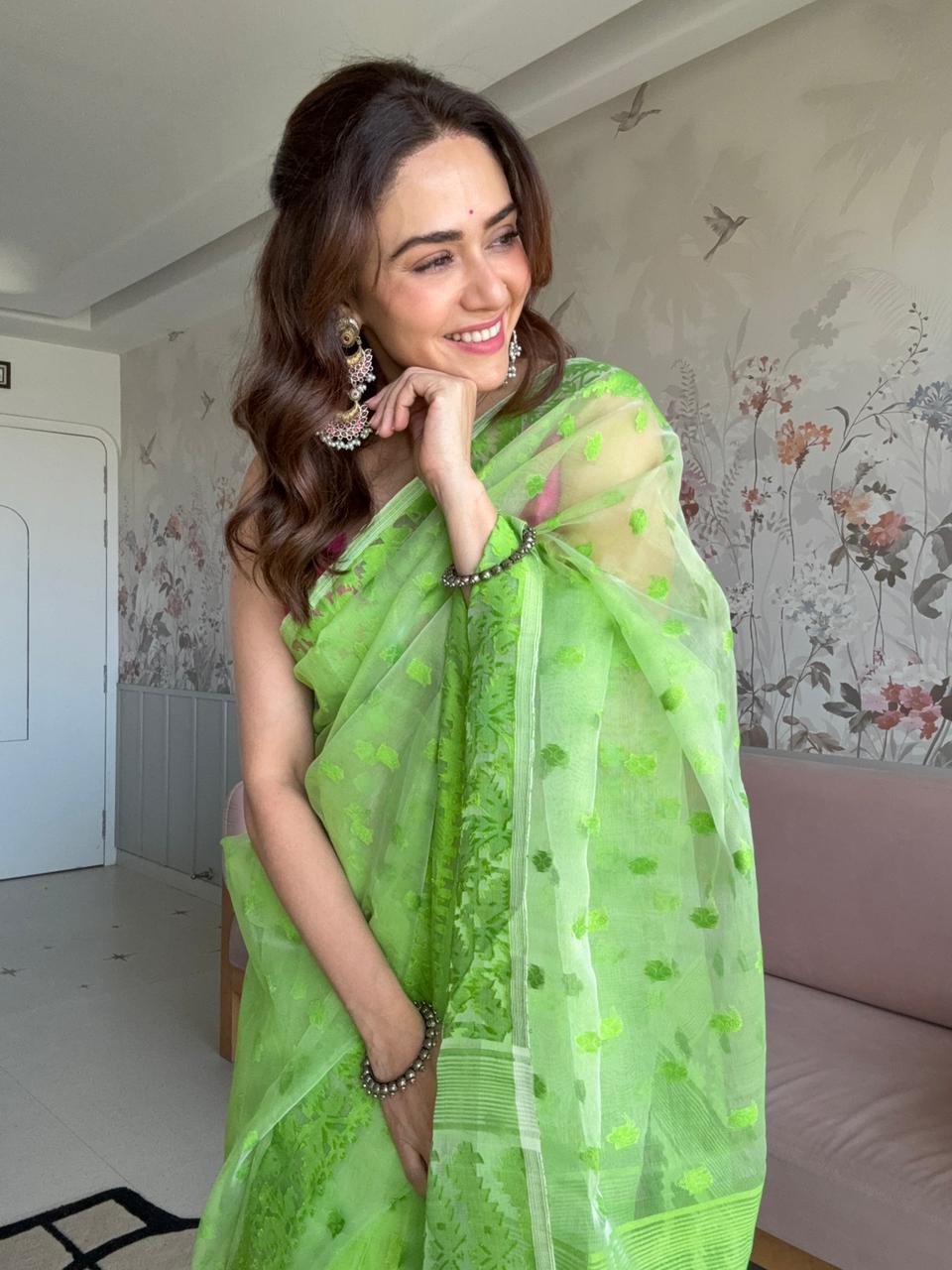 Prakriti | Organza Jamdani