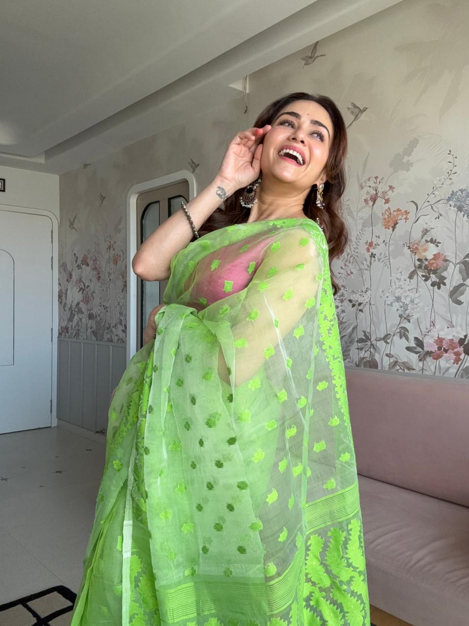 Prakriti | Organza Jamdani